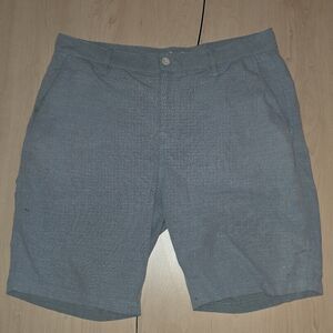 RVCA Light Blue Flat Front Shorts